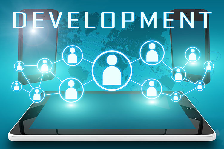 Bespoke Software Development Services